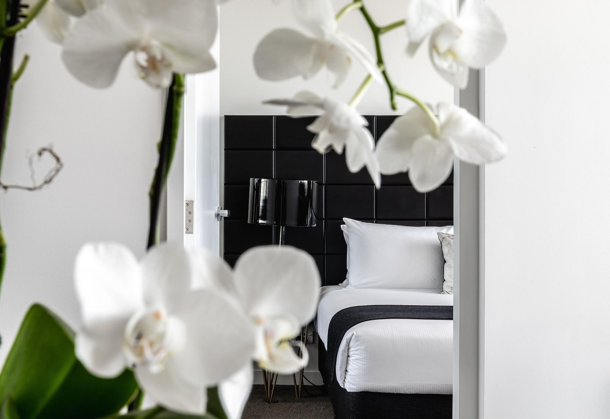 Silkari Suites At Chatswood Σίδνεϊ Εξωτερικό φωτογραφία
